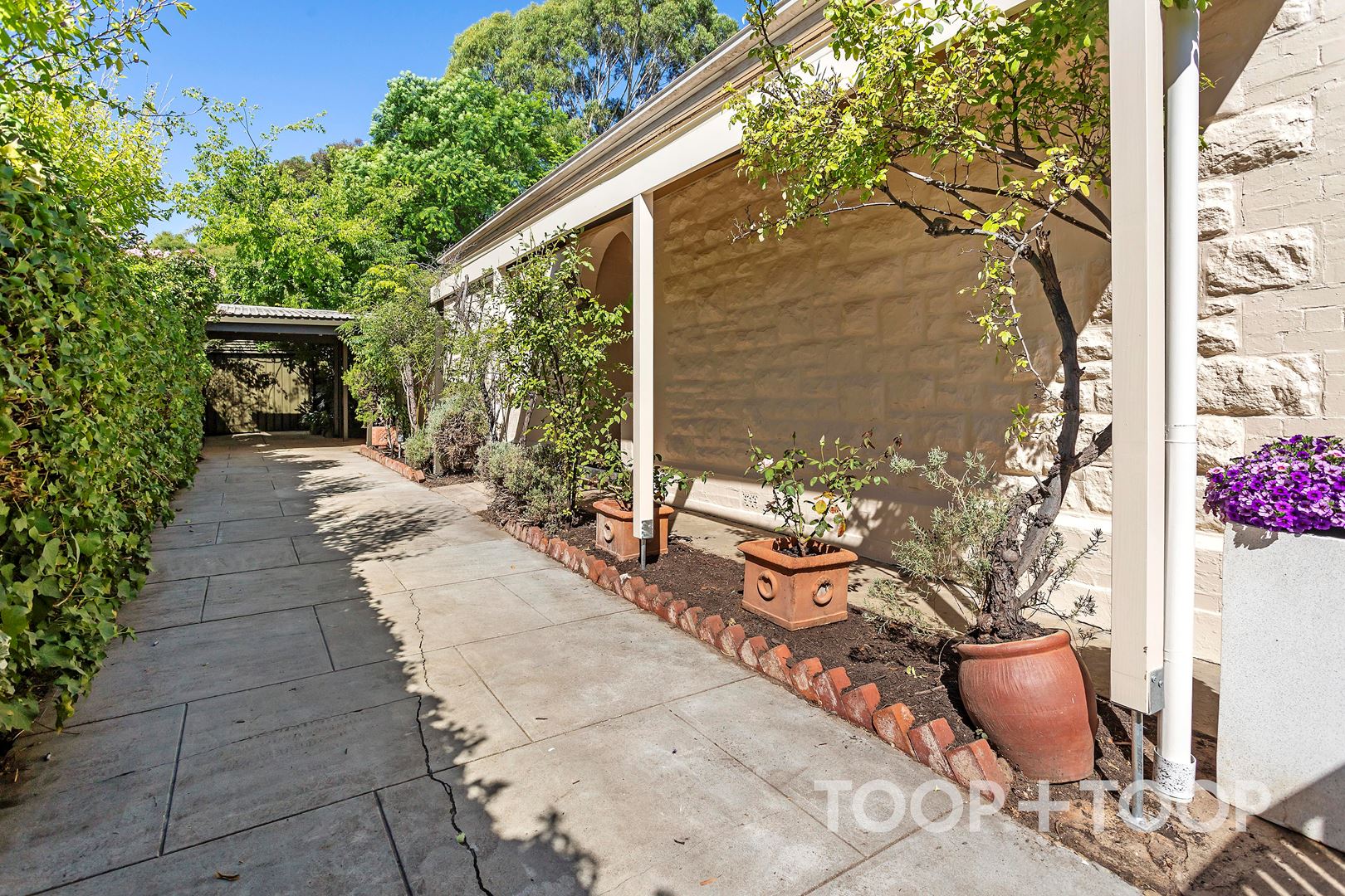 14 Gurrs Road, Kensington Park SA 5068, Kensington Park - Thumbnail 3