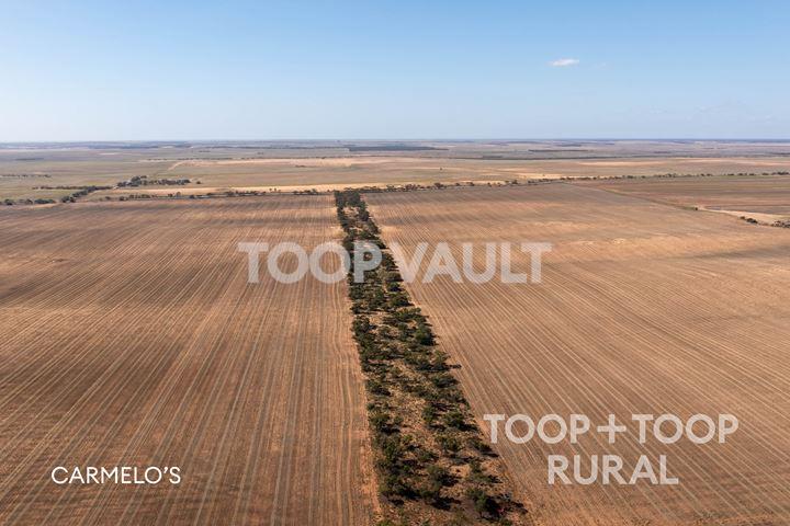 833 Walshs Bore Road