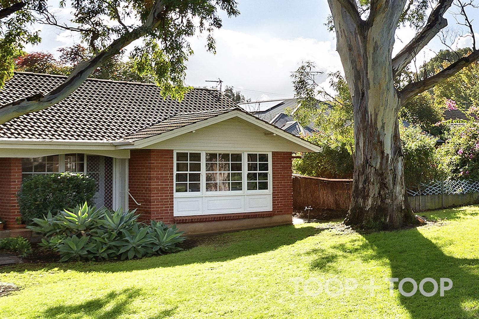 2 / 11 Grandview Avenue, Urrbrae SA 5064, Urrbrae - Image 1