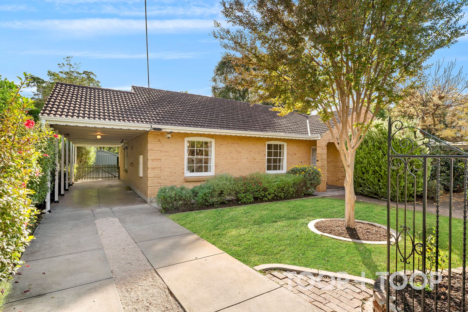 2 Lambeth Walk, Kings Park SA 5034, Kings Park - Image 1