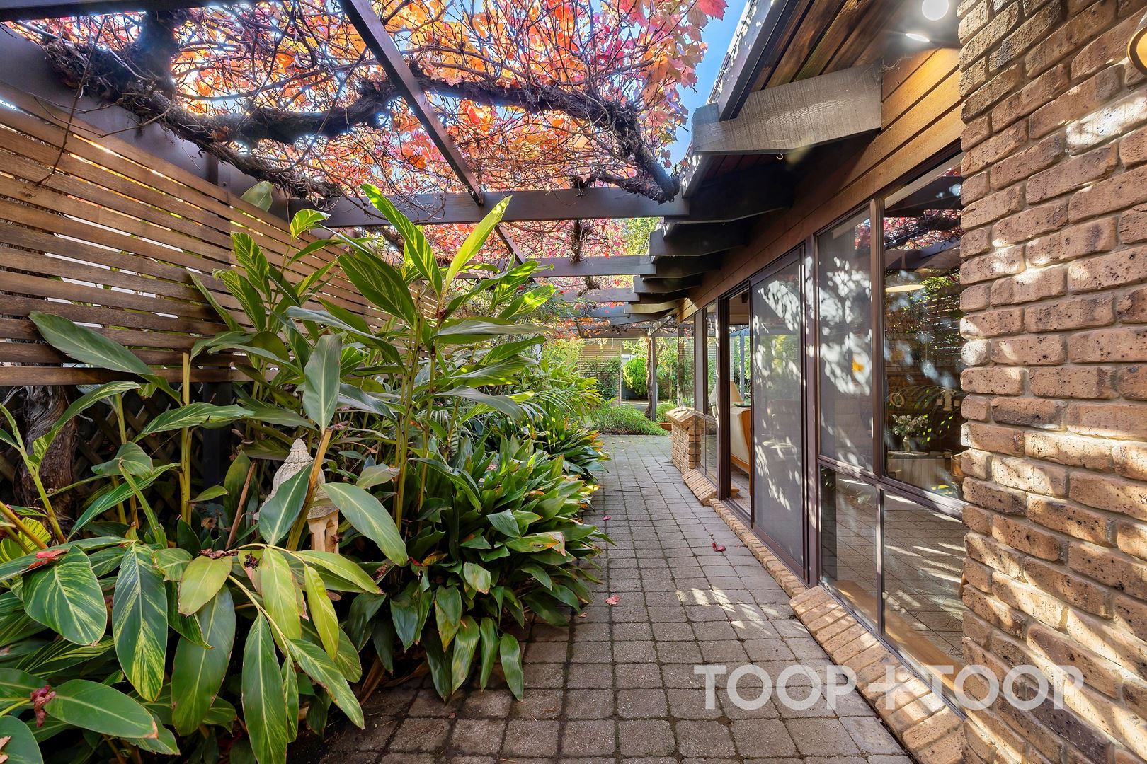 37 Edward Street, Norwood SA 5067, Norwood - Thumbnail 2