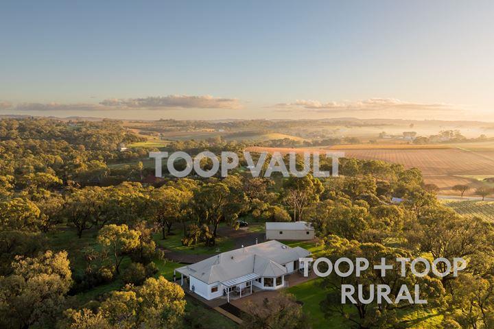 429 Seppeltsfield Road