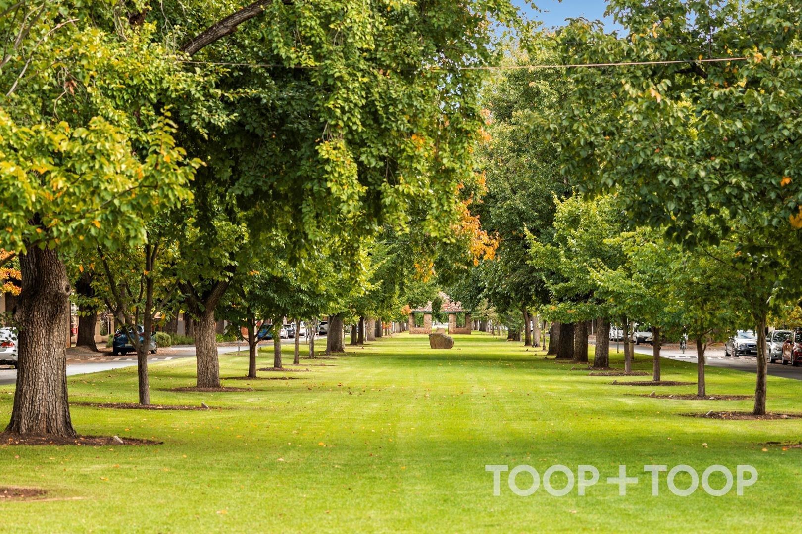 3 / 82 Alexandra Avenue,Rose Park SA 5067, Rose Park - Thumbnail 5