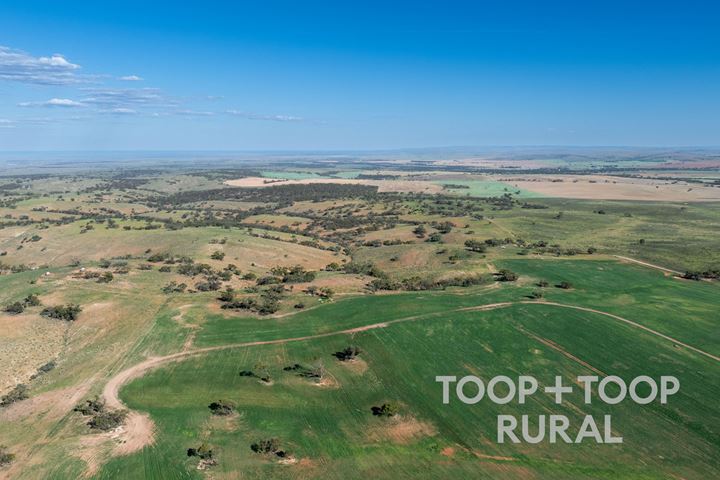 Goyder Road