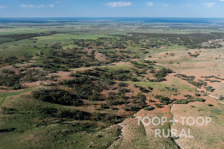 Goyder Road