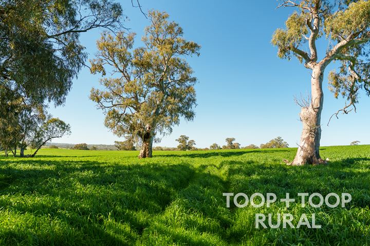 Lot 500 Cemetery Road
